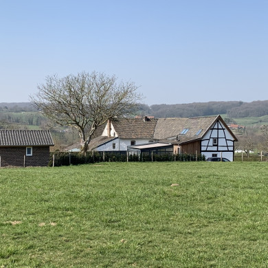 Rijksdienst voor het Cultureel Erfgoed: Bogers, Guido