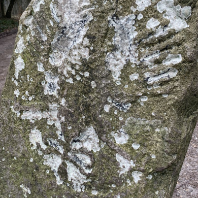 Rijksdienst voor het Cultureel Erfgoed: Bogers, Guido