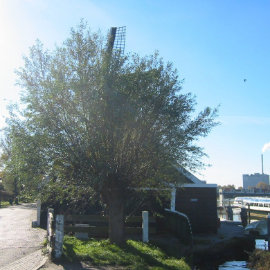 Rijksdienst voor het Cultureel Erfgoed: Terpstra, Frank