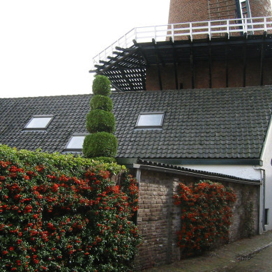 Rijksdienst voor het Cultureel Erfgoed: Terpstra, Frank