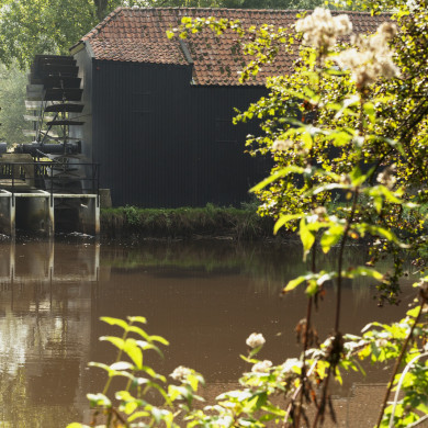 Rijksdienst voor het Cultureel Erfgoed: Buthker, Luc