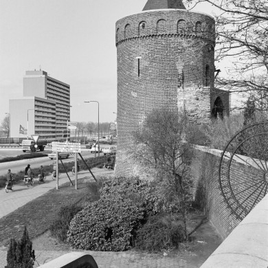Rijksdienst voor het Cultureel Erfgoed: Tangel, L.M.
