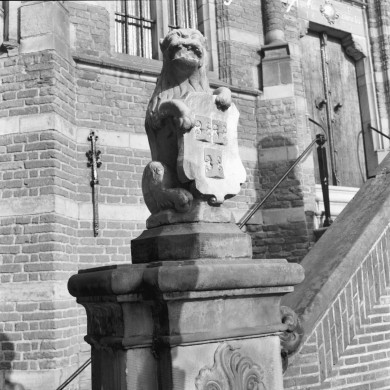 Rijksdienst voor het Cultureel Erfgoed: Delemarre, G.Th.