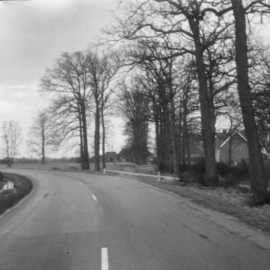 Rijksdienst voor het Cultureel Erfgoed: Delemarre, G.Th.