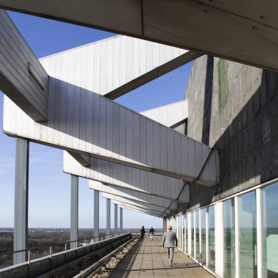 Rijksdienst voor het Cultureel Erfgoed: Steen, Monique van der