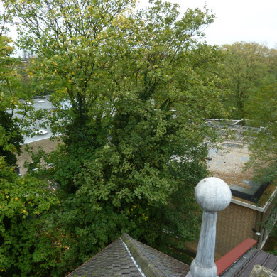 Rijksdienst voor het Cultureel Erfgoed: Wal, Henry van der