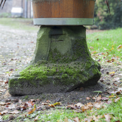 Rijksdienst voor het Cultureel Erfgoed: Sar, Wouter van der