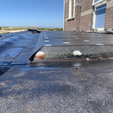 Rijksdienst voor het Cultureel Erfgoed: Bogers, Guido