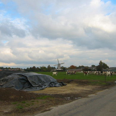 Rijksdienst voor het Cultureel Erfgoed: Terpstra, Frank