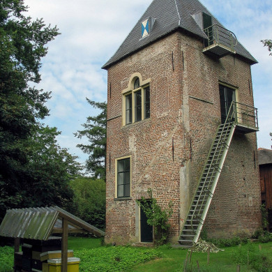 Rijksdienst voor het Cultureel Erfgoed: Speelman, Albert