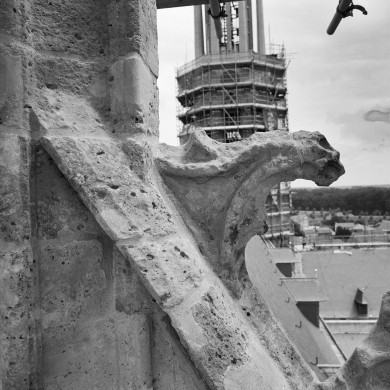 Rijksdienst voor het Cultureel Erfgoed: Tangel, L.M.