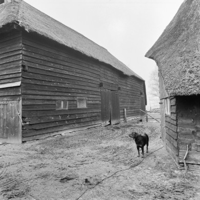 Rijksdienst voor het Cultureel Erfgoed: Wal, A.J. van der