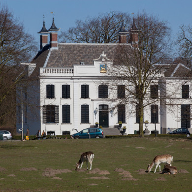 Rijksdienst voor het Cultureel Erfgoed: Speelman, Albert