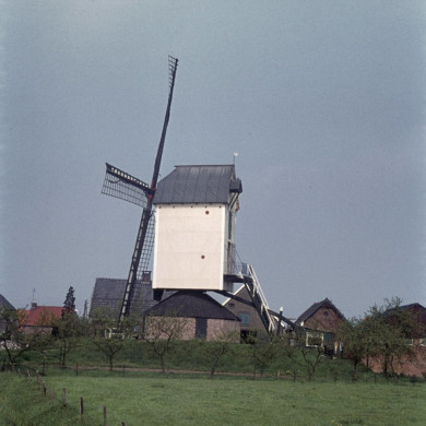 Rijksdienst voor het Cultureel Erfgoed