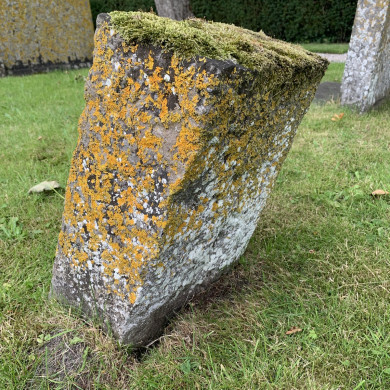 Rijksdienst voor het Cultureel Erfgoed: Bogers, Guido