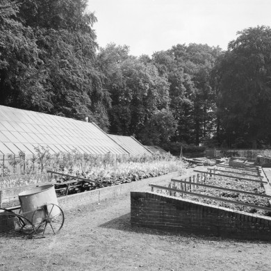 Rijksdienst voor het Cultureel Erfgoed: Wal, A.J. van der