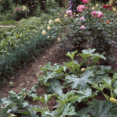 Rijksdienst voor het Cultureel Erfgoed: Heuff M. (Marijke)