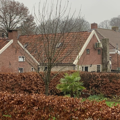 Rijksdienst voor het Cultureel Erfgoed: Bogers, Guido