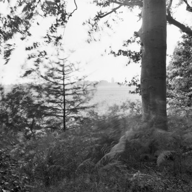 Rijksdienst voor het Cultureel Erfgoed: Wal, A.J. van der