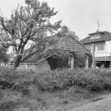 Rijksdienst voor het Cultureel Erfgoed: Boer, de