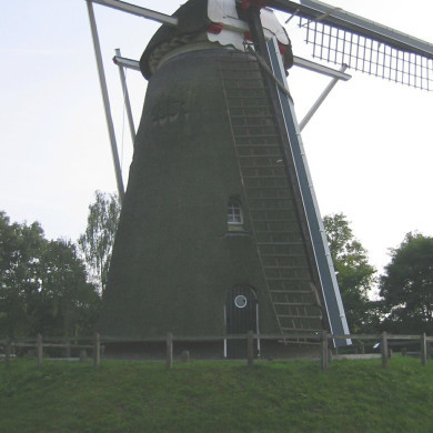 Rijksdienst voor het Cultureel Erfgoed: Terpstra, Frank