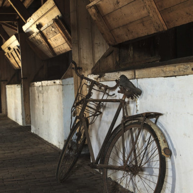 Rijksdienst voor het Cultureel Erfgoed: Jong, Nanette de