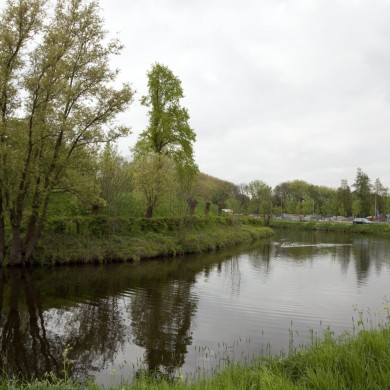 Rijksdienst voor het Cultureel Erfgoed