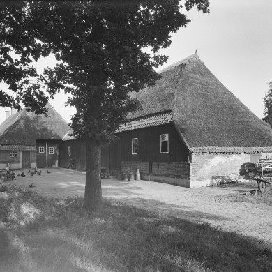 Rijksdienst voor het Cultureel Erfgoed: Delemarre, G.Th.