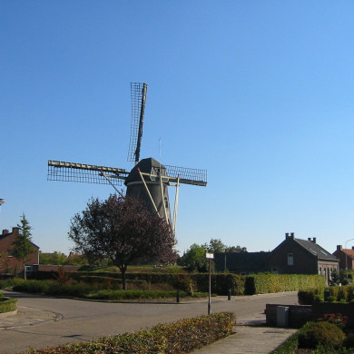 Rijksdienst voor het Cultureel Erfgoed: Terpstra, Frank