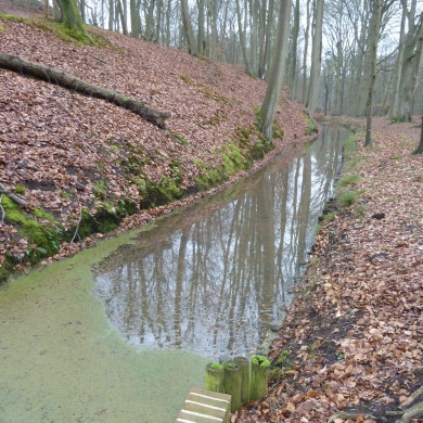 Rijksdienst voor het Cultureel Erfgoed: Bogers, Guido