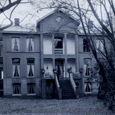 Rijksdienst voor het Cultureel Erfgoed: Brinio