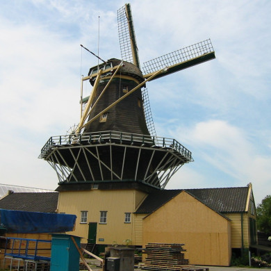 Rijksdienst voor het Cultureel Erfgoed: Terpstra, Frank