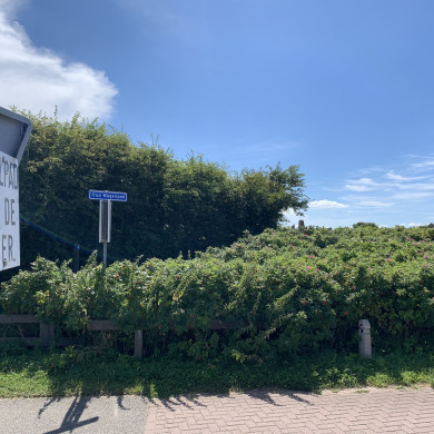 Rijksdienst voor het Cultureel Erfgoed: Bogers, Guido