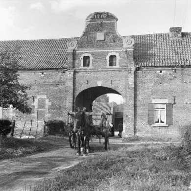 Rijksdienst voor het Cultureel Erfgoed: Delemarre, G.Th.