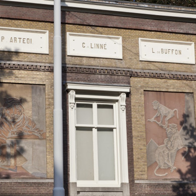 Rijksdienst voor het Cultureel Erfgoed: Booms, C.S. (Chris)