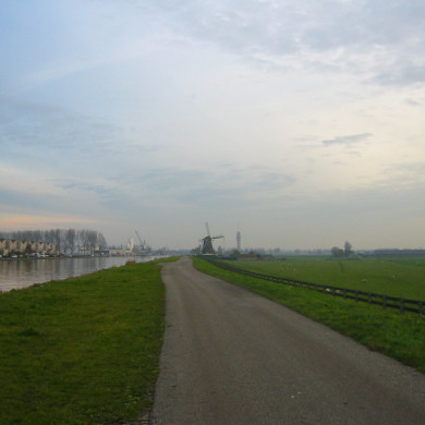 Rijksdienst voor het Cultureel Erfgoed: Terpstra, Frank