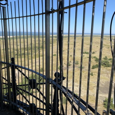 Rijksdienst voor het Cultureel Erfgoed: Bogers, Guido