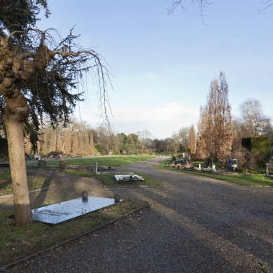 Rijksdienst voor het Cultureel Erfgoed: Booms, C.S. (Chris)