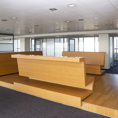 Rijksdienst voor het Cultureel Erfgoed: Steen, Monique van der