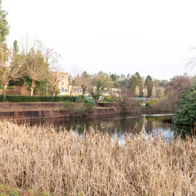 Rijksdienst voor het Cultureel Erfgoed: Sekuur, Mark