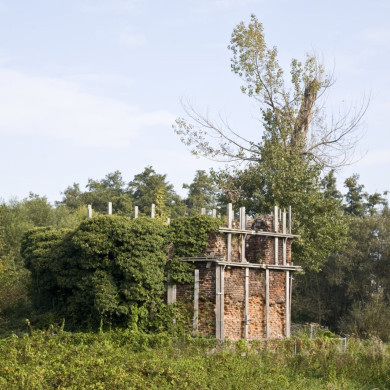 Rijksdienst voor het Cultureel Erfgoed