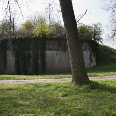 Rijksdienst voor het Cultureel Erfgoed: Galen, P. (Paul) van-Booms, C.S. (Chris)