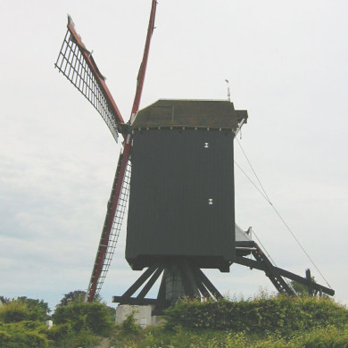 Rijksdienst voor het Cultureel Erfgoed: Terpstra, Frank