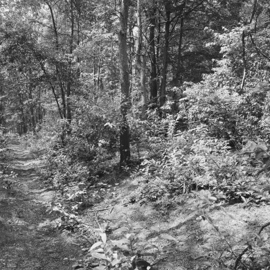 Rijksdienst voor het Cultureel Erfgoed: Galen, P. (Paul) van