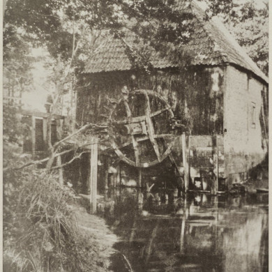 Rijksdienst voor het Cultureel Erfgoed