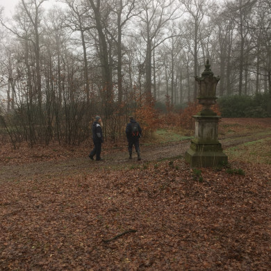 Rijksdienst voor het Cultureel Erfgoed: Wal, Henry van der