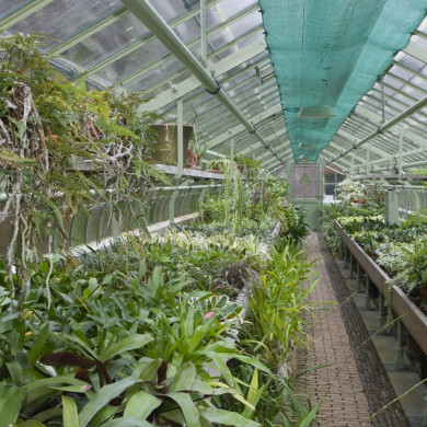 Rijksdienst voor het Cultureel Erfgoed: Roderburg, K. (Kris)