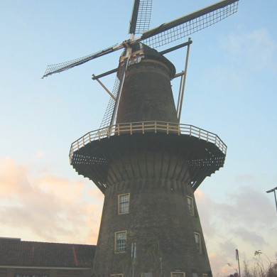 Rijksdienst voor het Cultureel Erfgoed: Terpstra, Frank