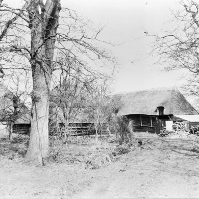 Rijksdienst voor het Cultureel Erfgoed: PROVINCIAAL MUSEUM DRENTE