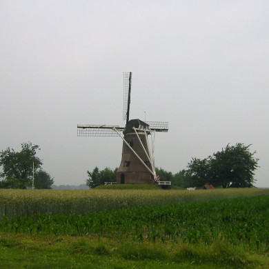 Rijksdienst voor het Cultureel Erfgoed: Terpstra, Frank